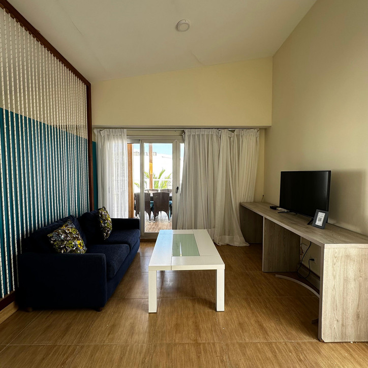 Description for Image 1